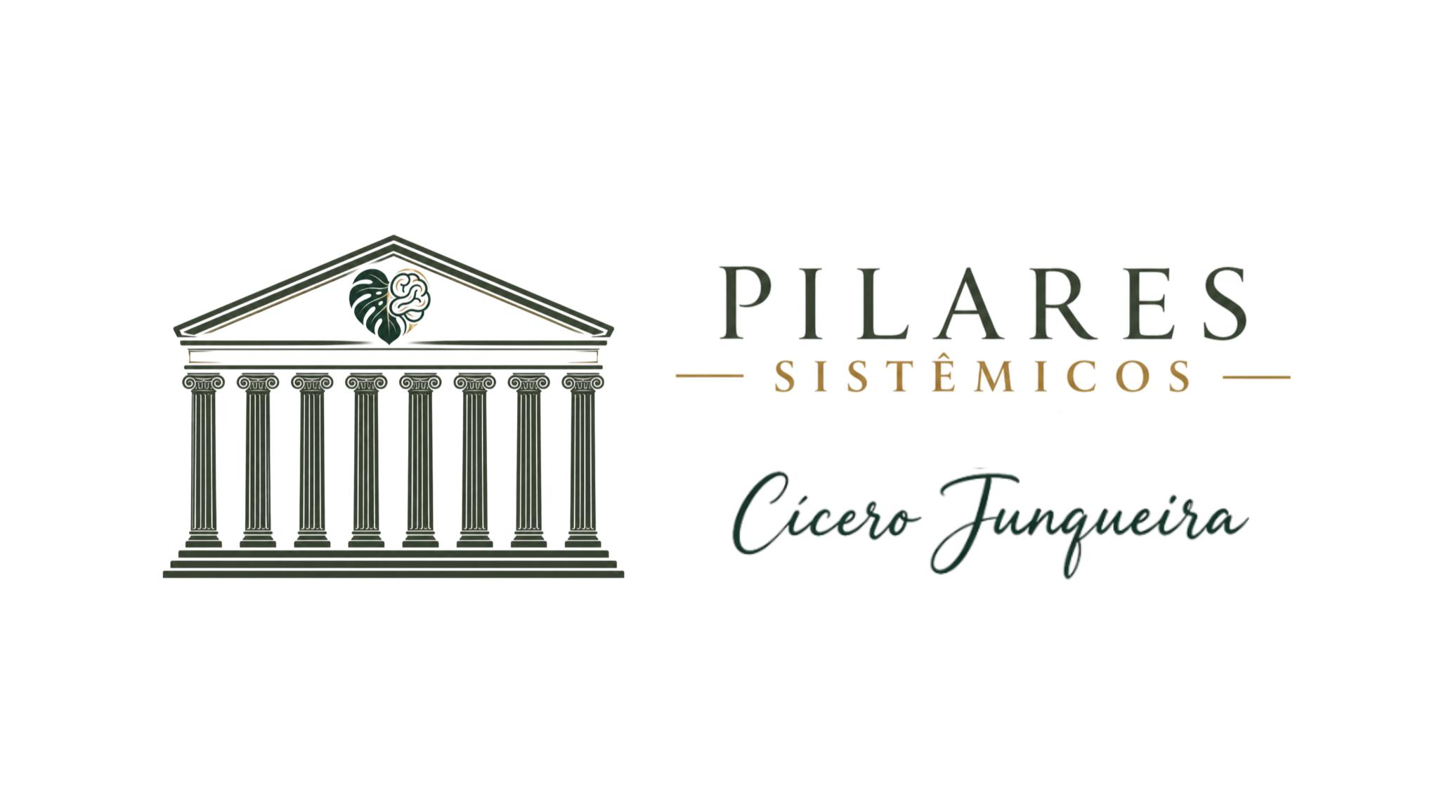 Pilares Sistêmicos — Os 12 Pilares que sustentam a sua vida
